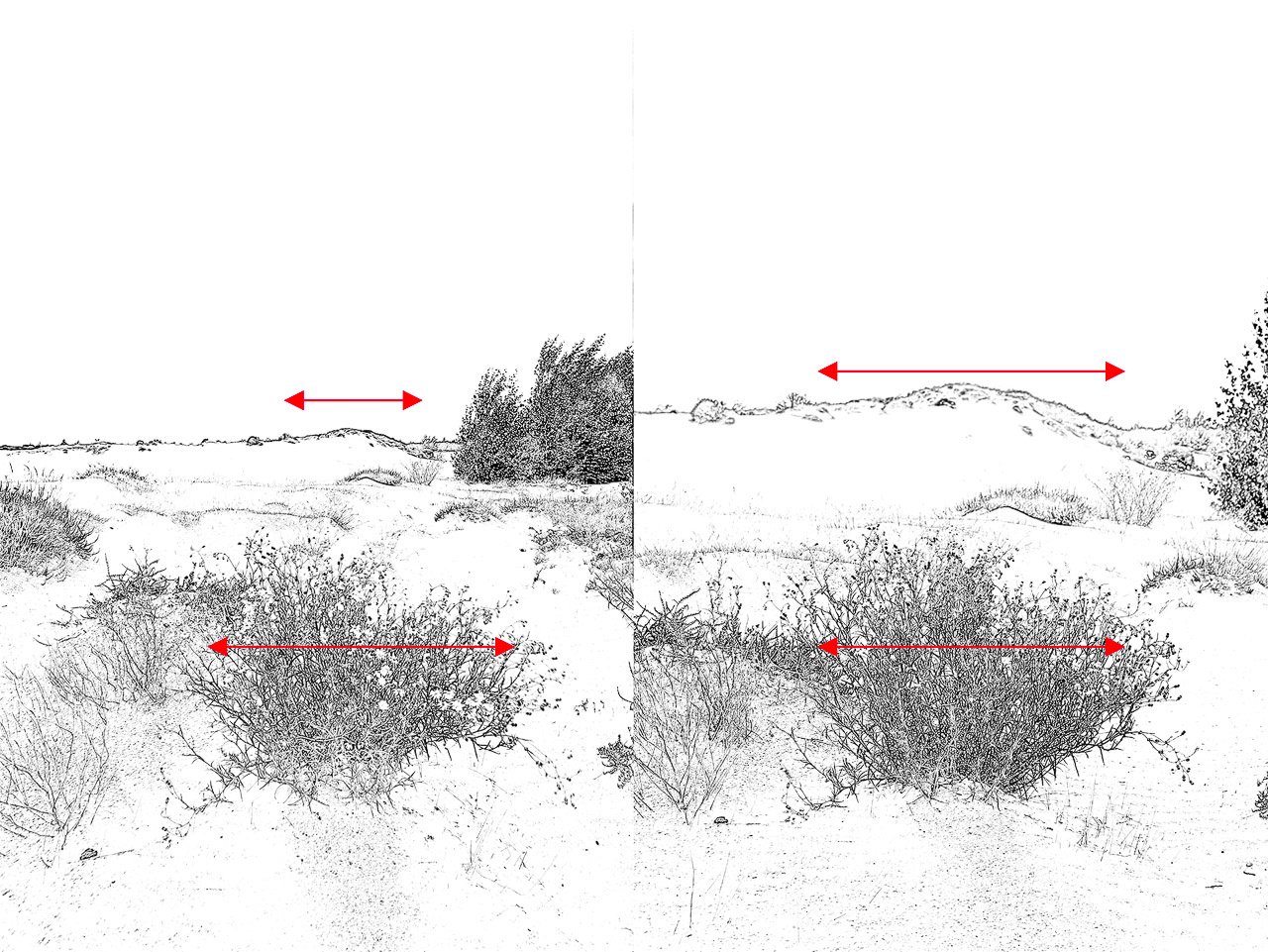 Questo disegno delle immagini mostra quale differenza fa il cambiamento della lunghezza focale e della distanza dal soggetto.